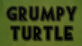 Turtle official logo